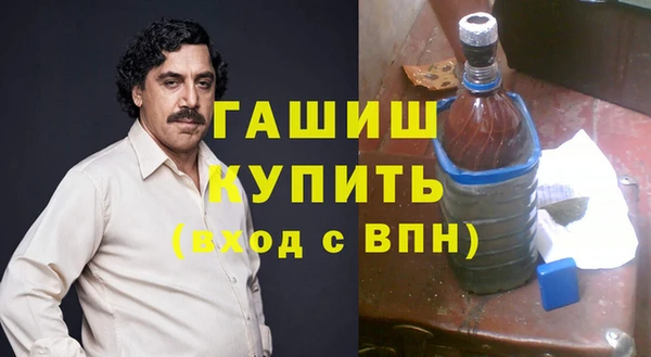 шишки Новодвинск