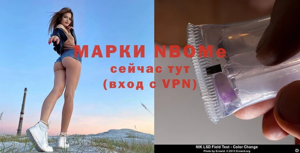 дмт Новокубанск