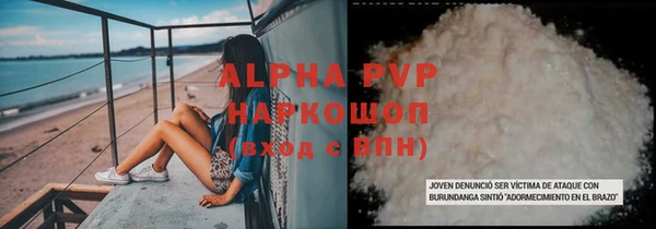 шишки Новодвинск