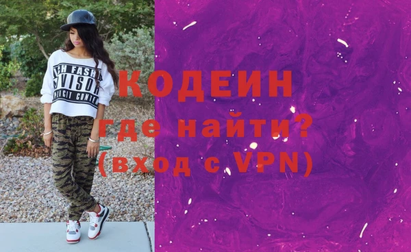 шишки Новодвинск