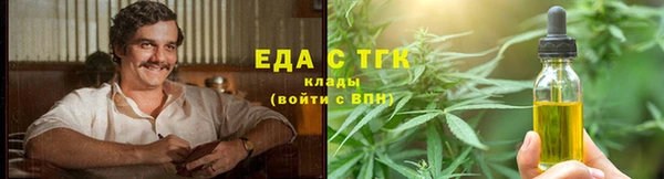 шишки Новодвинск