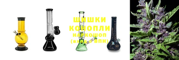 шишки Новодвинск