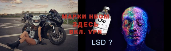 дмт Новокубанск