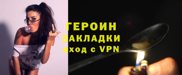 шишки Новодвинск
