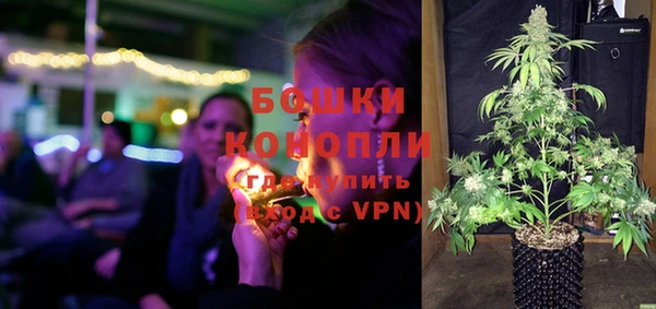 шишки Новодвинск