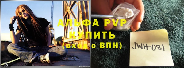 шишки Новодвинск