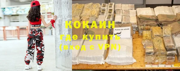 шишки Новодвинск