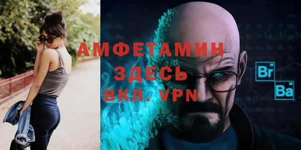 шишки Новодвинск