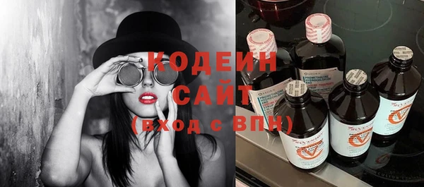 шишки Новодвинск