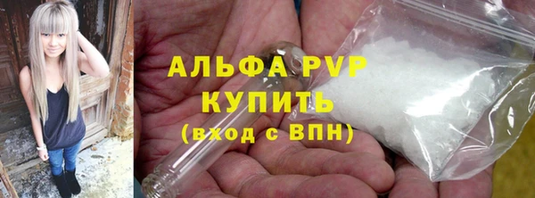 шишки Новодвинск